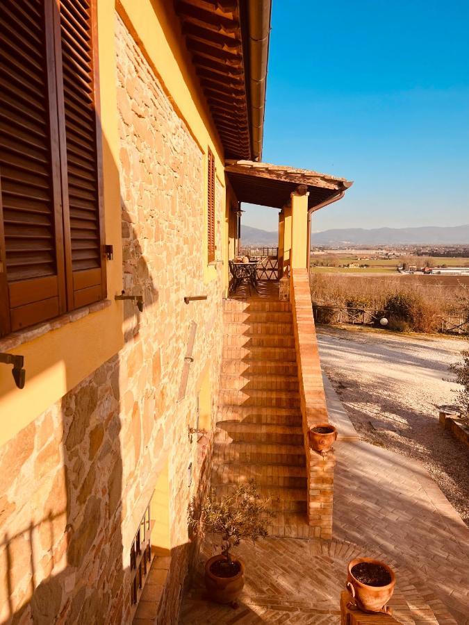 Agriturismo Il Divin Casale Torgiano Zewnętrze zdjęcie