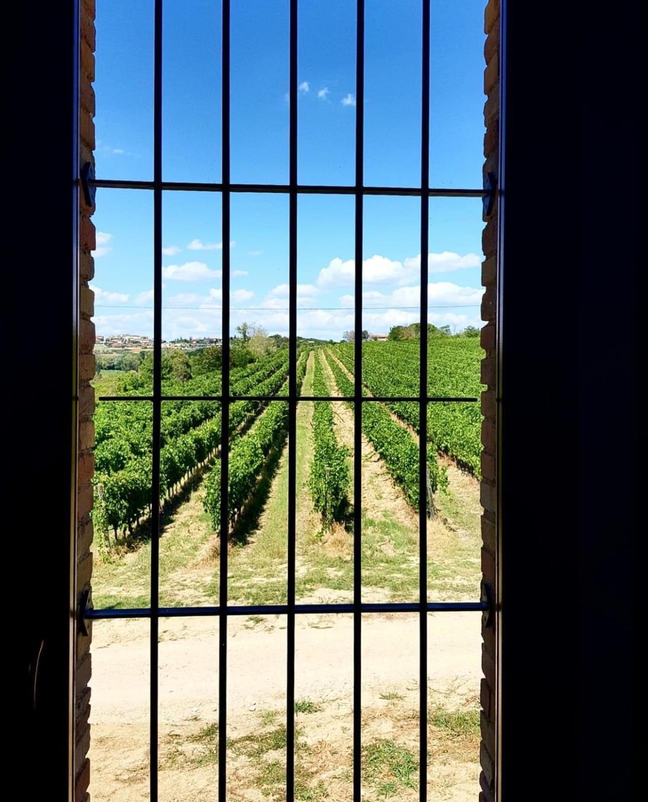 Agriturismo Il Divin Casale Torgiano Zewnętrze zdjęcie