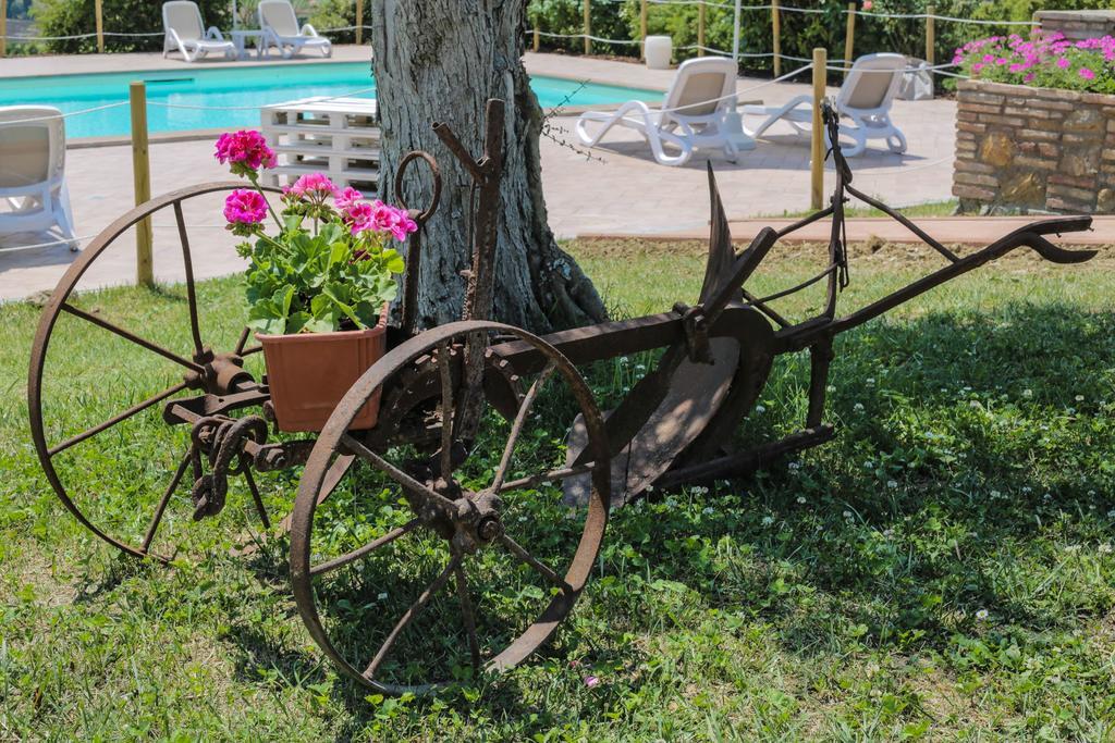 Agriturismo Il Divin Casale Torgiano Zewnętrze zdjęcie