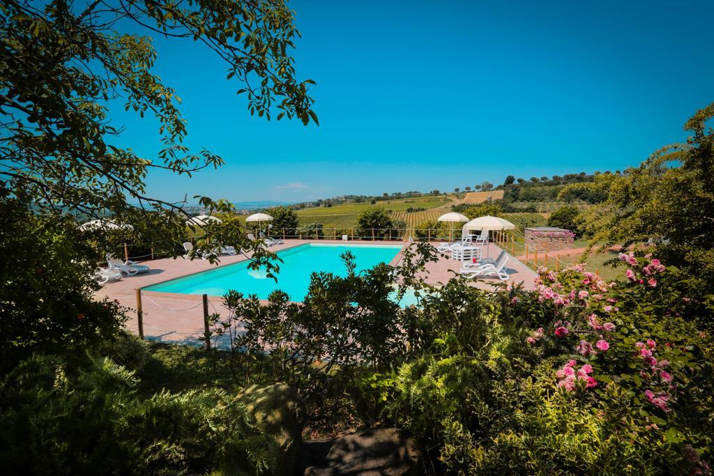 Agriturismo Il Divin Casale Torgiano Zewnętrze zdjęcie